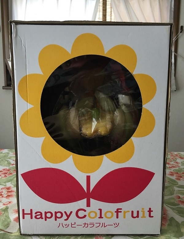 フルーツの花束・ハッピーカラフルーツ